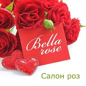 Bella rose