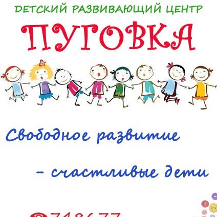 Детский развивающий центр Пуговка