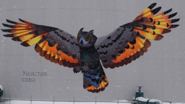 Соседи Сибура