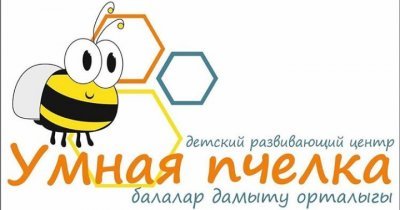 Центр развития Пчёлка