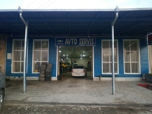 Avto servis