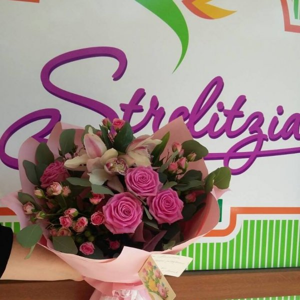 Strelitzia-Flowers