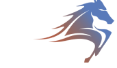 NOMAD GAS
