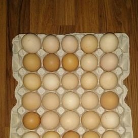 Яйца домашние куриные