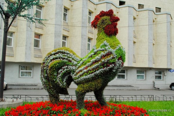 Скульптура Цветочная скульптура "Петух" в Красноярске