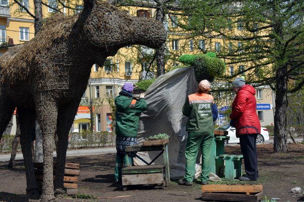 Скульптура Лоси в Красноярске