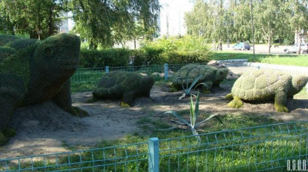 Скульптура Черепаха в Красноярске