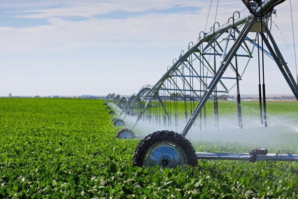 Управление мелиорации земель и сельскохозяйственного водоснабжения по Брянской области