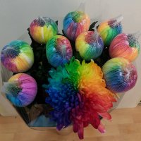 Хризантема одноголовая "Радуга"