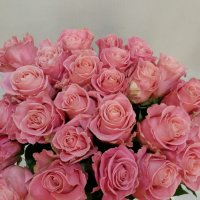 Роза Эквадор