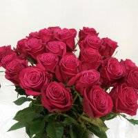 Роза Эквадор