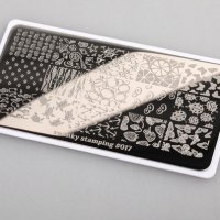 Пластина Swanky Stamping №17