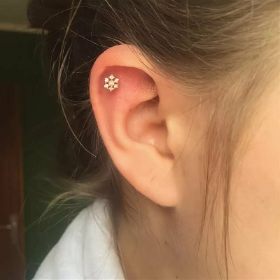 Хрящ (хеликс) 