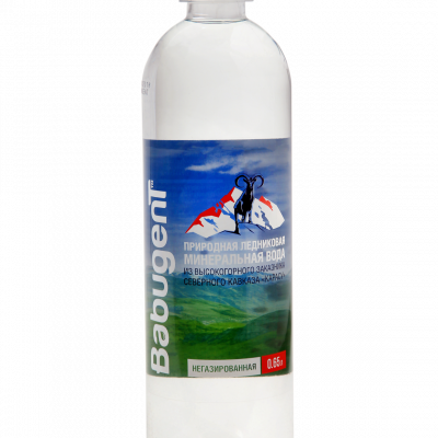 Минеральная вода 650 мл