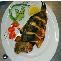 Карп зеркальный 