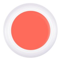 Гель-краска №10, 5 гр