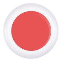 Гель-краска №25, 5 гр