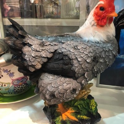 Курица, полистоун