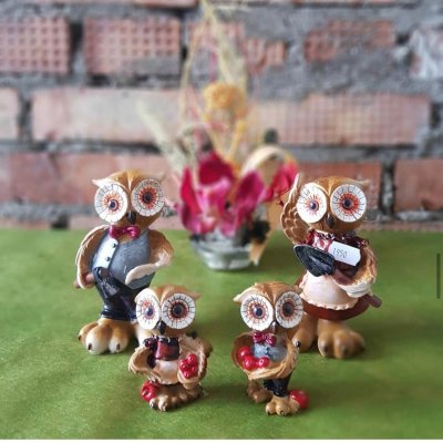 Семейка совушек