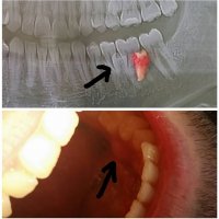 ИСАКОВА ЗАРИНА