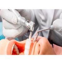 ЧОНИАШВИЛИ МАРИНА