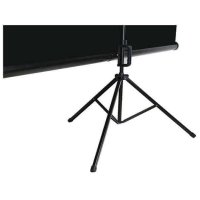 Мобильный экран 2,1x2,1 м. 1:1 PROscreen TLZ1084