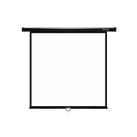 ЭКРАН НАСТЕННЫЙ DELUXE DLS-M180X