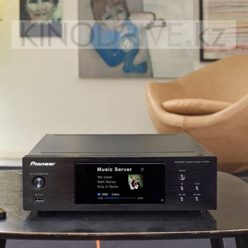 Сетевой аудиоплеер Pioneer N-P01 Черный