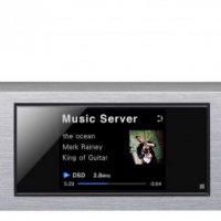 Сетевой аудиоплеер Pioneer N-P01 Черный