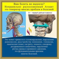 Шея - правка атланта