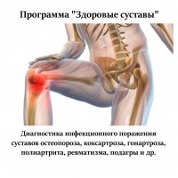 (ВРТ) суставная программа 