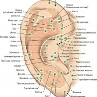 Аурикуло ( ухо ) терапия