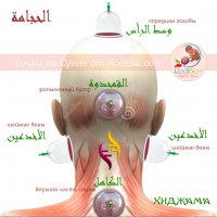 Капиллярное кровопускание.       Одна точка