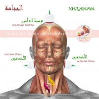 Капиллярное кровопускание.       Одна точка