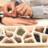 Семяно-терапия су джок