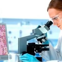  Микроскопия ( качественный анализ крови ) дети до 12 лет