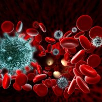  Микроскопия ( качественный анализ крови ) дети до 12 лет