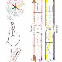 Рефлексотерапия ( су-джок ) 