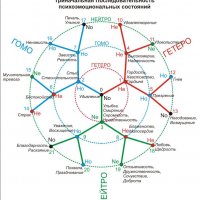 Рефлексотерапия ( су-джок ) 