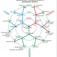 Рефлексотерапия ( су-джок ) 