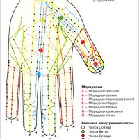 Рефлексотерапия ( су-джок ) 