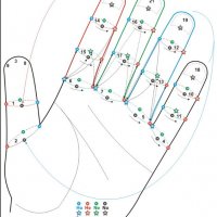 Рефлексотерапия ( су-джок ) 