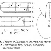 Рефлексотерапия ( су-джок ) 