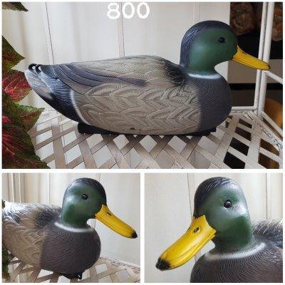 Утка водоплавающая