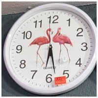 Часы Фламинго