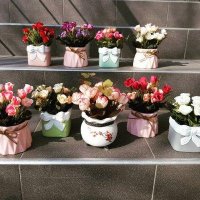 Кашпо с цветами