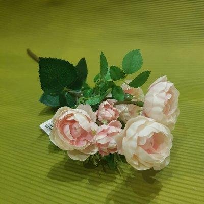 Роза кустовыя