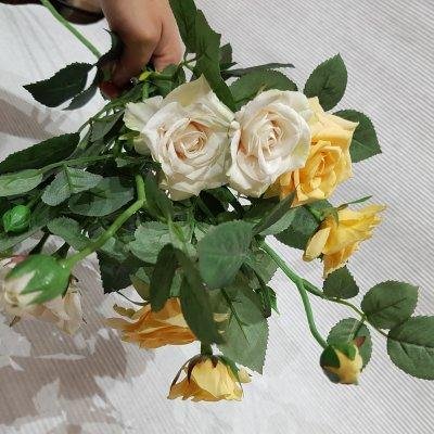 Розы кустовые