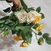 Розы кустовые