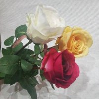 Роза ДЖЕССИКА 